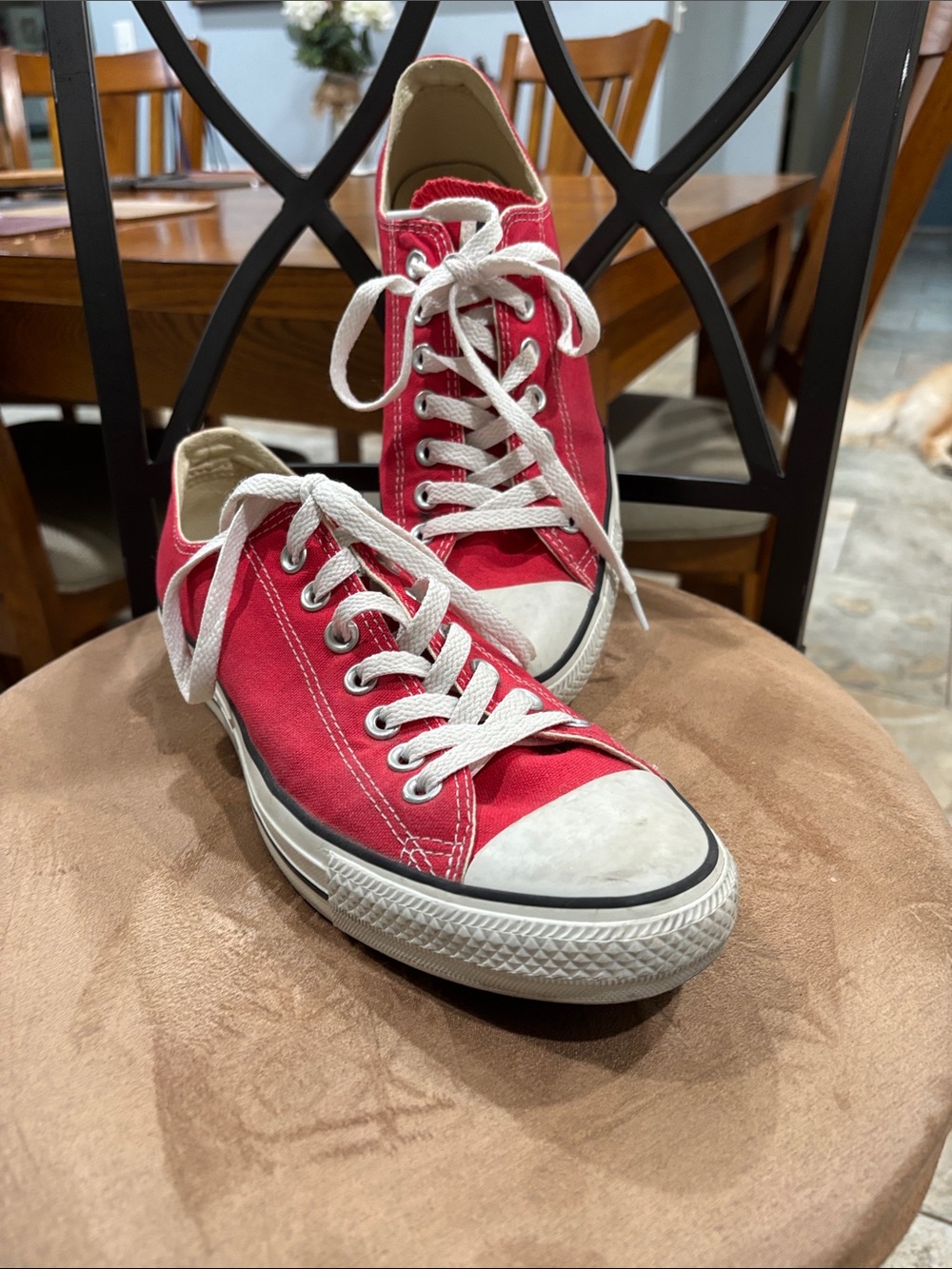 Converse Low Top Sneakers in Red and White